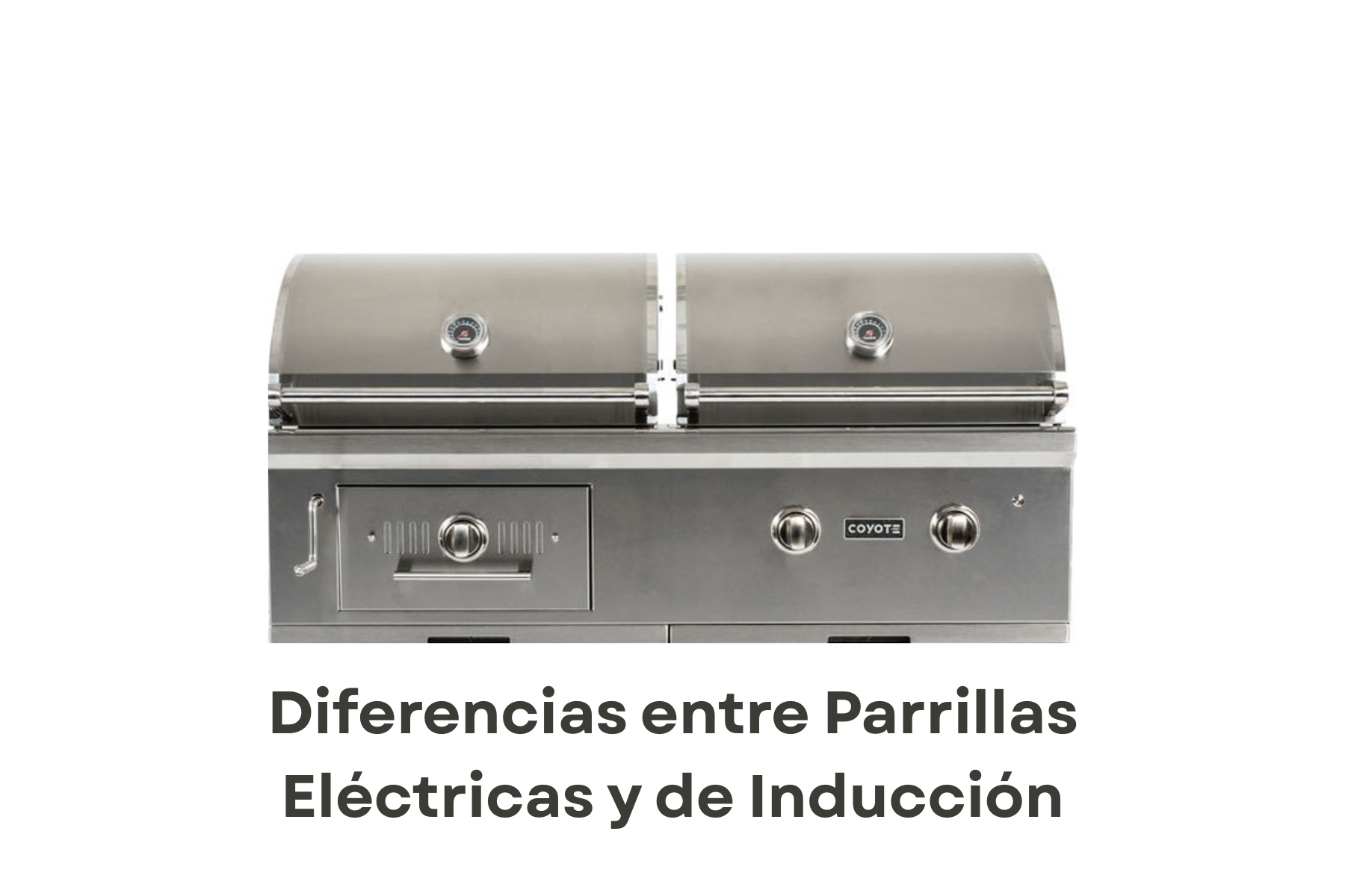 Diferencias entre Asadores de Gas y de Carbón