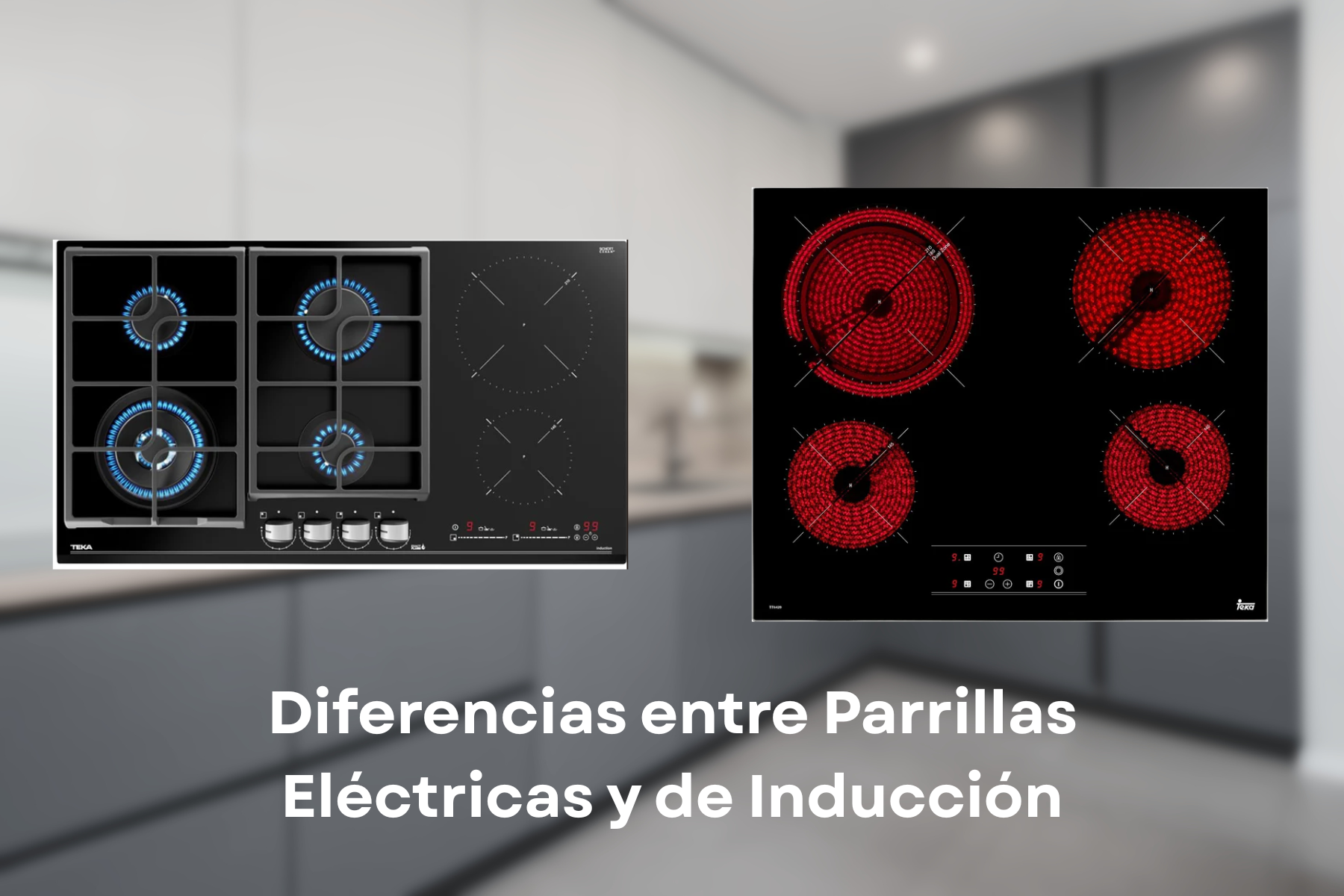 Diferencias entre Parrillas Eléctricas y de Inducción